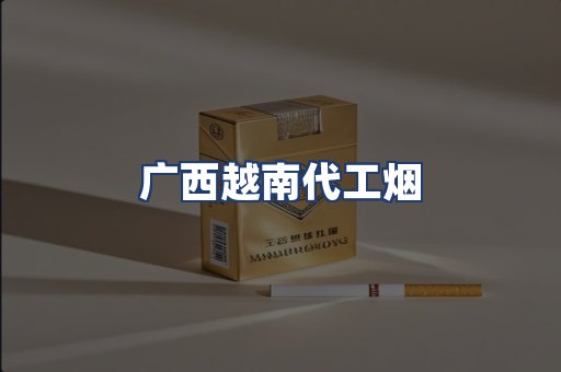 广西越南代工烟